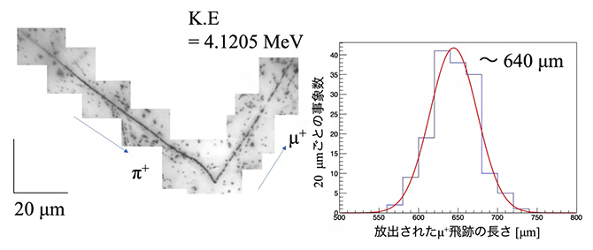 写真乾板で観測されるミュープラス粒子放出反応と飛程分布の図