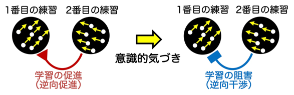 本研究成果の概要図