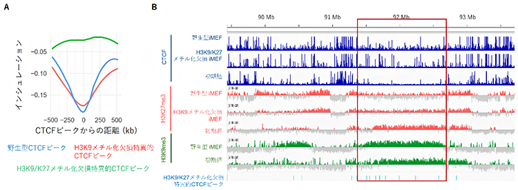 3Dゲノム構造・ヒストン修飾におけるH3K9メチル化欠損細胞と初期胚間の類似性の図