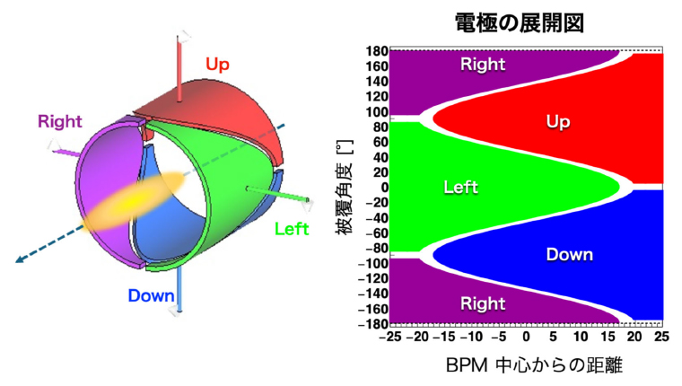 新型BPMおよびその電極の展開図の画像