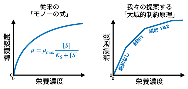 「細胞増殖曲線」の模式図の画像