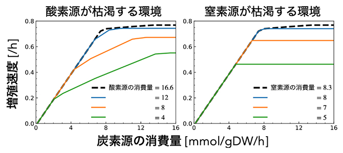 複数栄養源による細胞増殖の制約：数値計算結果の図