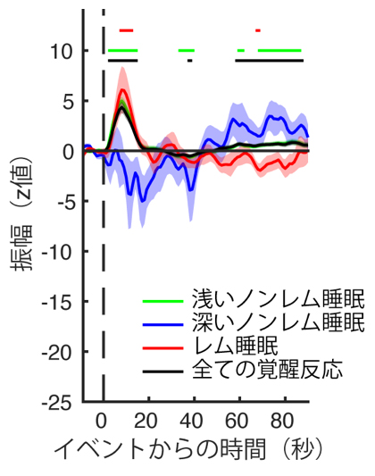 覚醒反応に対応したCSF信号の変化の図