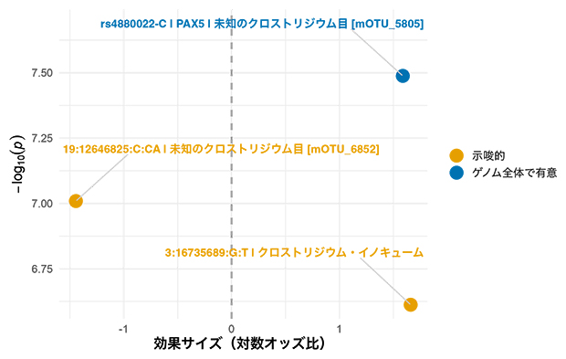 二値型（GWAS）によって特定された腸内細菌と遺伝子の関連の図