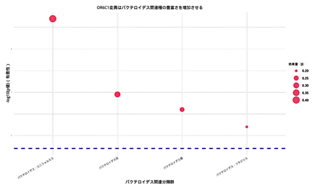 OR6C1変異体（rs5798345-CA）がバクテロイデス（Bacteroides）に与える影響の図
