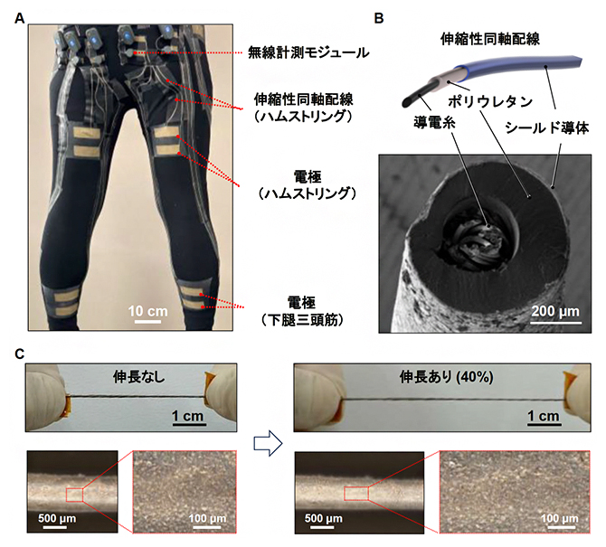 衣服型の無線筋電図計測システムの図