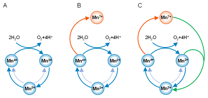 酸化マンガンの反応機構の図