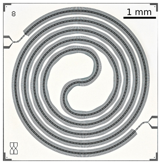 コプレーナJTWPAの顕微鏡写真の図