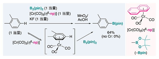 一時的なπ配位による電子が豊富な芳香族炭化水素の官能基化の図