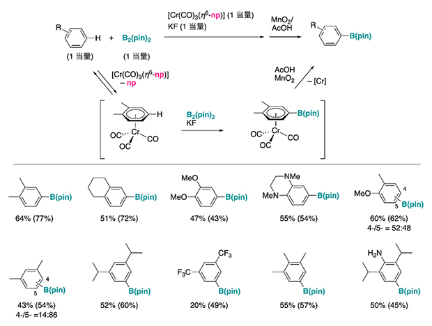 一時的な（transient）π配位による芳香族炭化水素のホウ素化反応の図