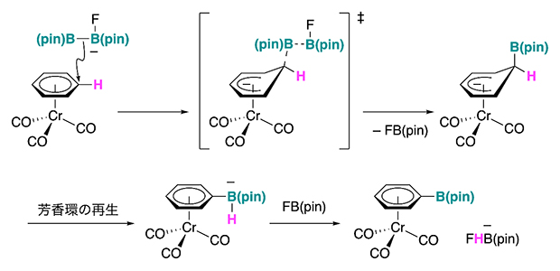 芳香族炭化水素のホウ素化反応の推定反応機構の図