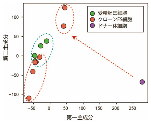 受精胚ES細胞とクローンES細胞およびドナー体細胞の網羅的遺伝子発現パターンの図