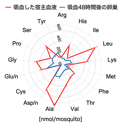 蚊が取り込んだ宿主血液と成熟卵巣におけるアミノ酸プロファイルの図