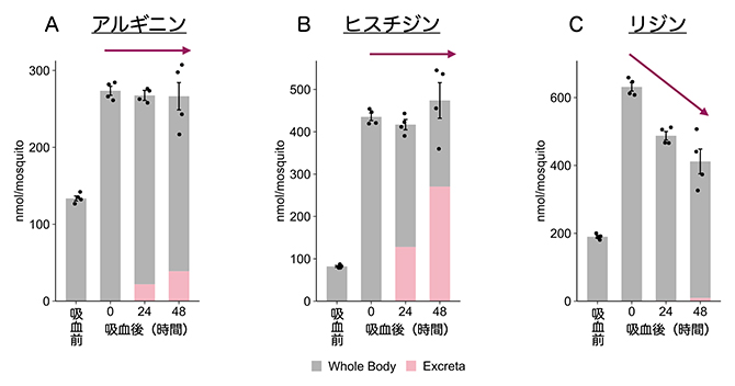 吸血後の蚊体内および排泄物中における総アミノ酸濃度の図