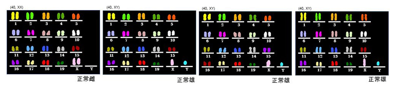 マウスの正常性の確認の図