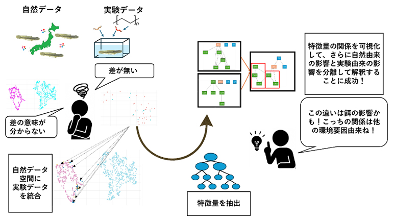 本研究の概要図