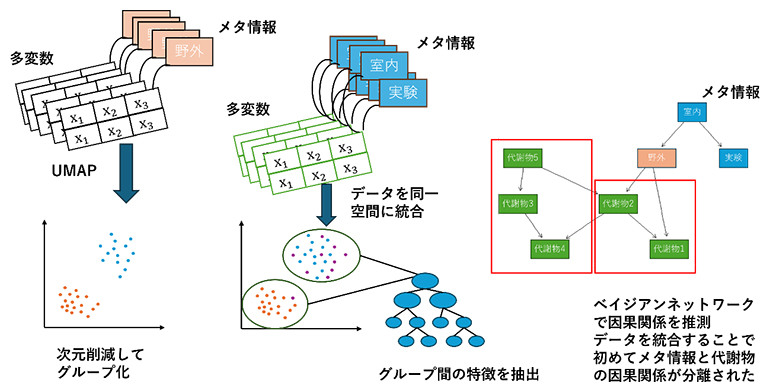 研究で用いられた解析の流れの図