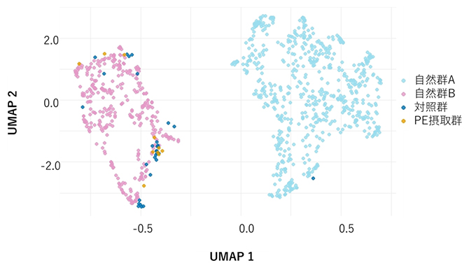 自然集団のUMAP解析とPE摂取群・対照群データの埋め込み可視化の図