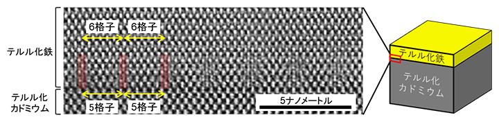 走査型透過電子顕微鏡で捉えた薄膜界面付近の原子像の図