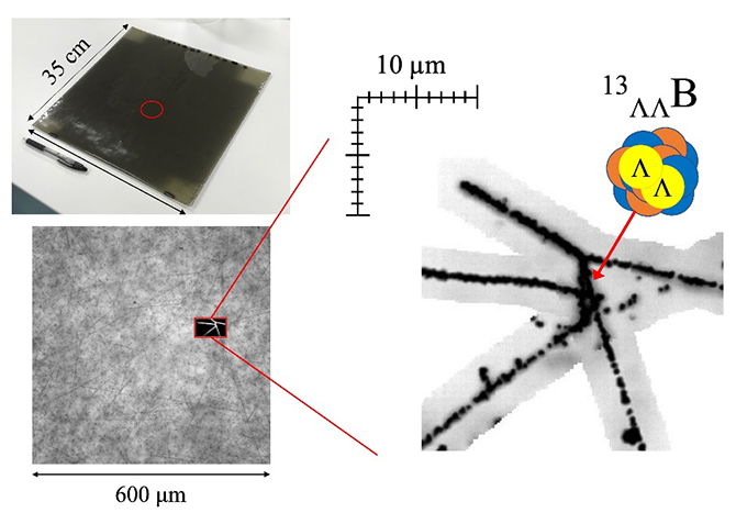 実験で使用した写真乾板と光学顕微鏡で撮影した写真乾板の図