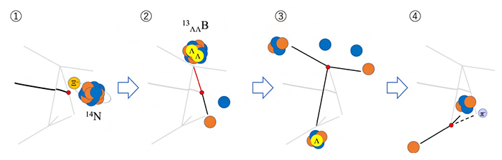 同定したホウ素13ダブルラムダハイパー核の生成と崩壊の模式図の画像