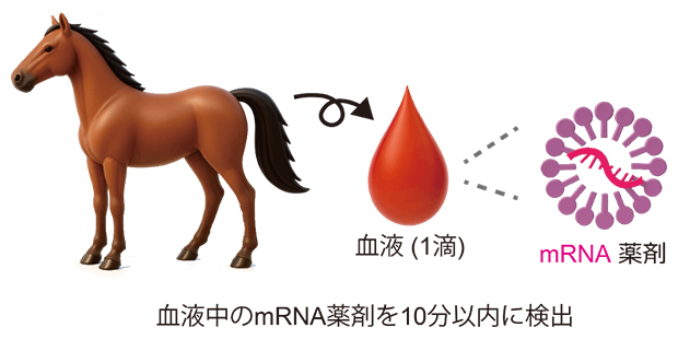 新Direct-SATORI法は血液中のmRNA薬剤を10分以内に検出の図