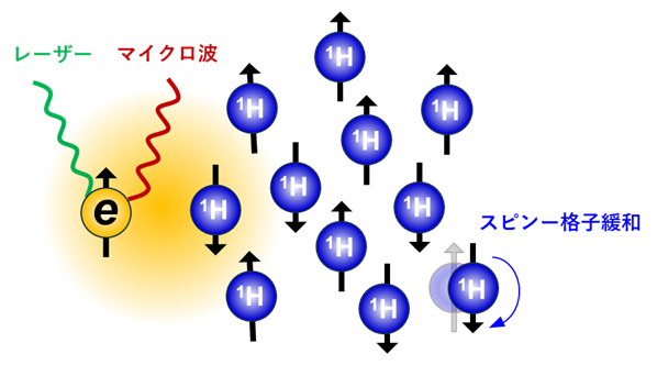 トリプレットDNP法を用いた水素（1H）核スピン偏極率の向上の図
