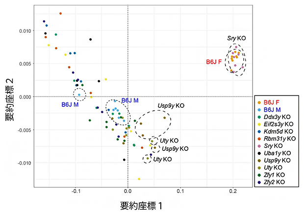 性差関連表現型に基づくマウス個体の2次元マップの図