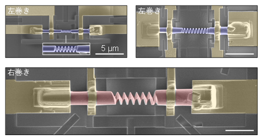 さまざまな寸法のCo3Sn2S2らせん型デバイス試料の走査型電子顕微鏡像の図