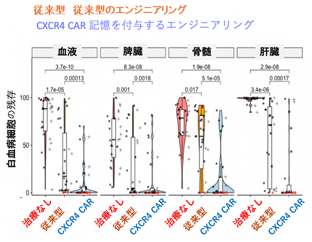 血液、脾臓、骨髄、肝臓に存在する白血病細胞に対する治療効果の図