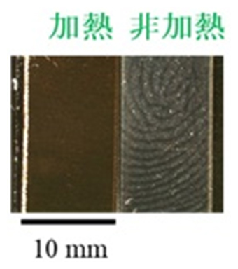 指紋の光学顕微鏡像（SUS基板）の図