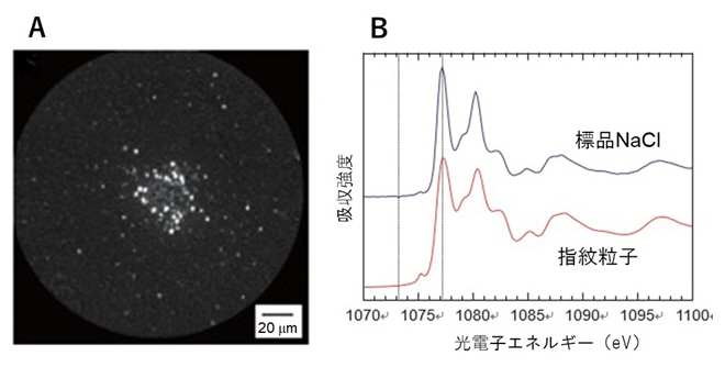 SUS基板における加熱処理指紋のPEEM観察の図