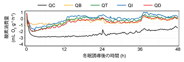ポリA配列の選択による冬眠様状態の深さの違いの図