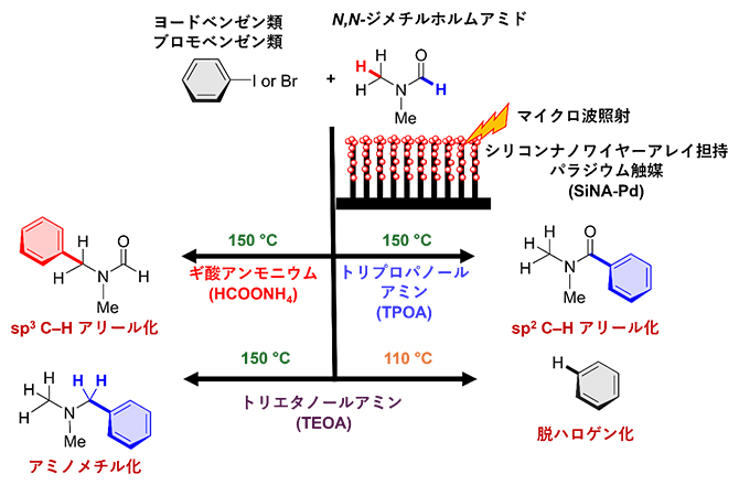 ヨードベンゼン類・ブロモベンゼン類とホルムアミドとの四重スイッチング触媒反応系の図