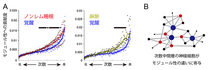 神経細胞の次数とモジュール性への貢献度の関係の図