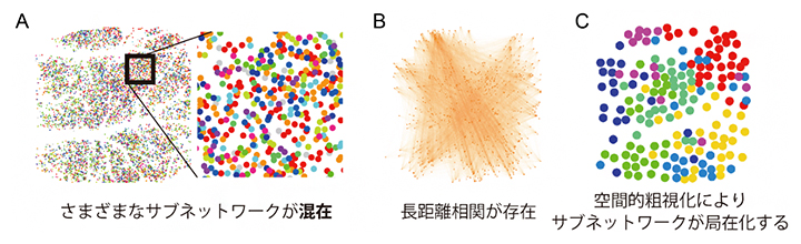 意識・無意識状態のいずれも混在する神経細胞は粗視化で局所化の図