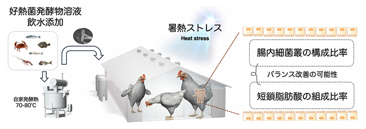 本研究の概要図