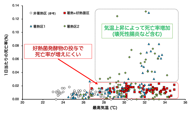 鶏の死亡率と温度、ならびに好熱菌を活用した高温発酵飼料溶液投与の有無との関係の図
