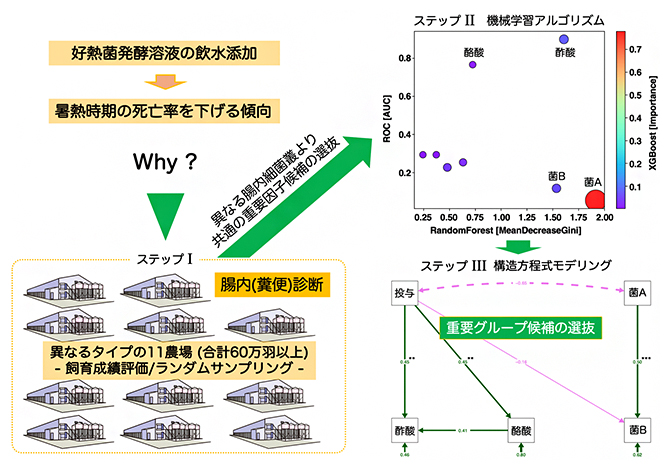 計算科学的手法を活用した本技術の評価の図