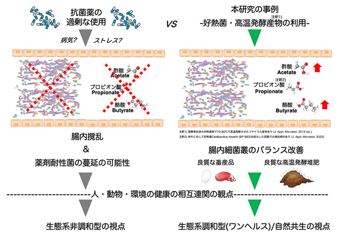 本研究成果が生態系調和型（ワンヘルス）社会実現に果たす役割と展望の図