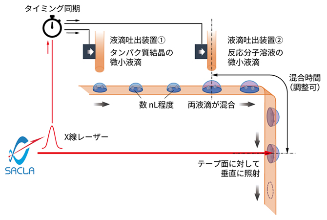 図1 テープ搬送による試料導入システムの概念図の画像