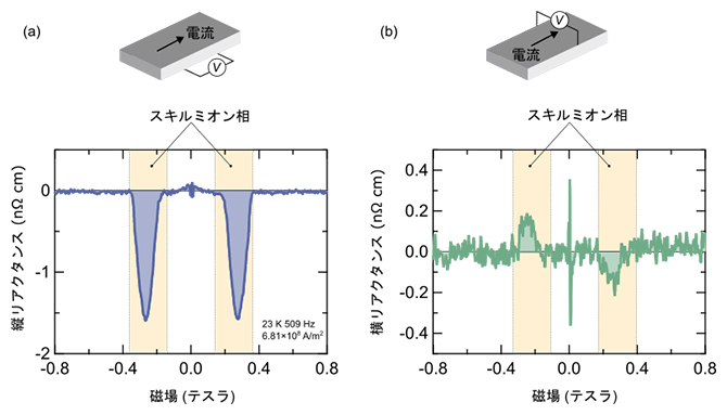 スキルミオン相におけるリアクタンスの検出の図
