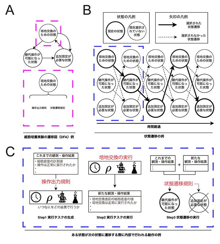 DFAの考え方に基づいて表現した実験手順の図