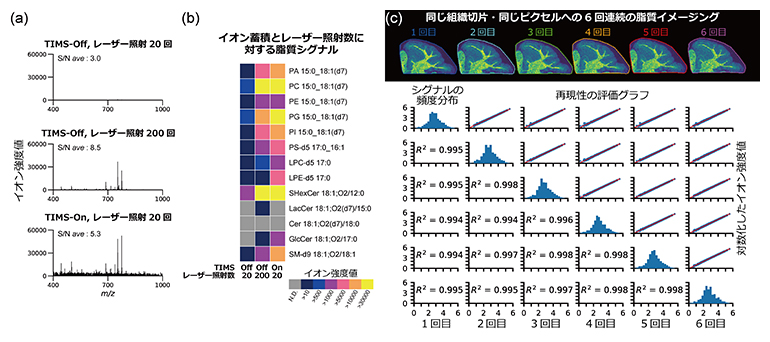 SMASH imagingの研究開発の図