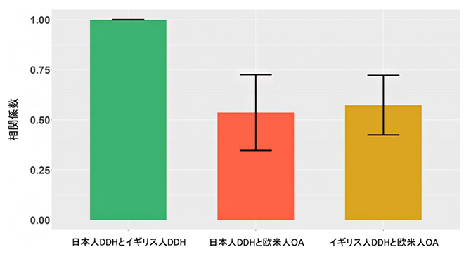 発育性股関節形成不全（DDH）と変形性股関節症（OA）の遺伝相関の図