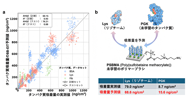 モデル予測精度と汎用性の図