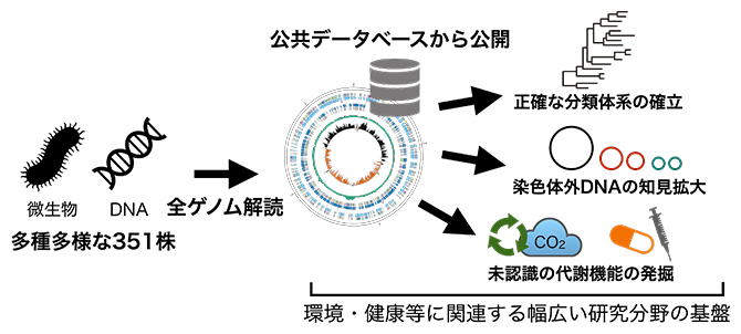本研究の概要図