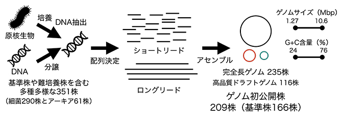 原核生物351株の全ゲノム解読の図