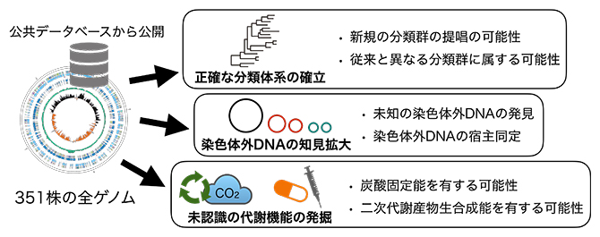 全ゲノム解読から得られた成果の図