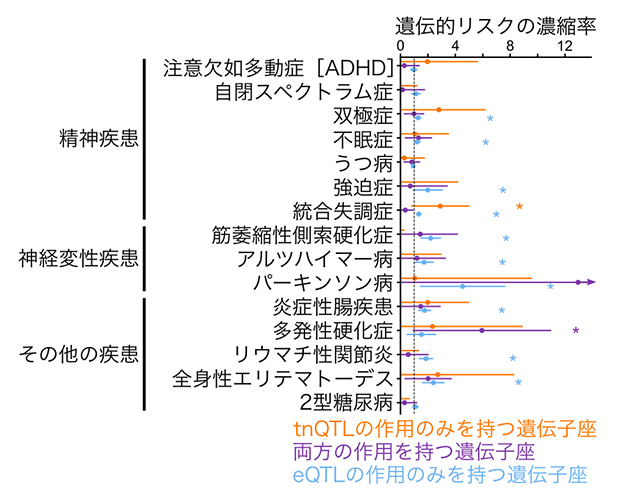 tnQTLやeQTLの作用を持つ遺伝子座の遺伝的リスクへの関わりの図